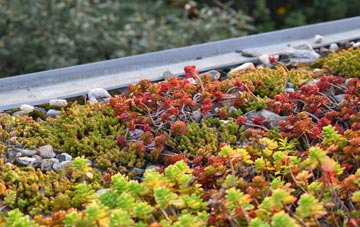 the cost of West Lynn green roof installation