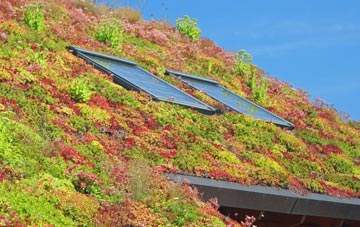 West Lynn living roof systems